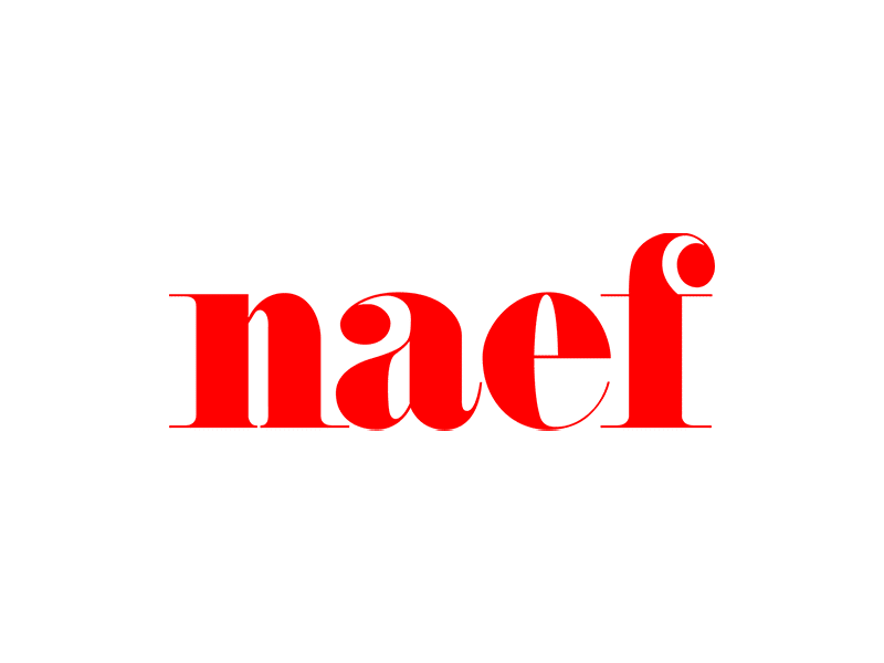 FuiteAssechement 0006 logo naef pN