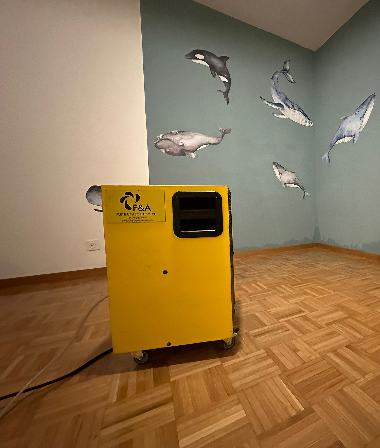 Prise en charge particulier